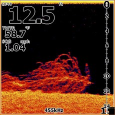 Elite_DSI_Screen.jpg